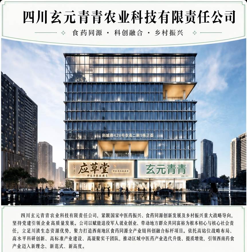 公司介绍