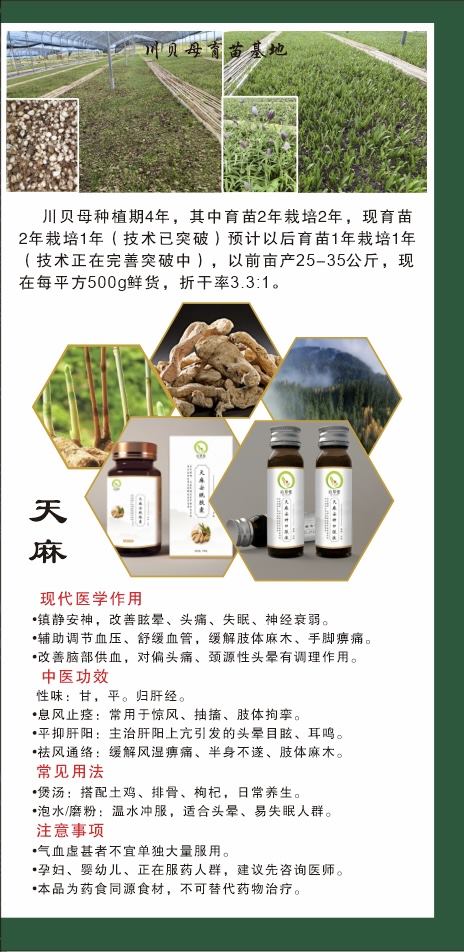 项目技术与建设方向示意