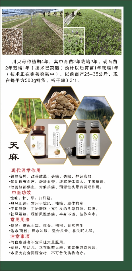 品种介绍2